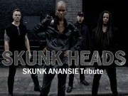 Skunk Heads in concerto