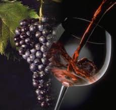 Festa del Vino DOC Salice Salentino e Ciceri e tria