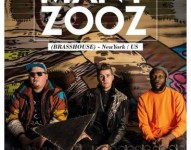 Too Many Zooz in concerto