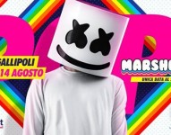 Special guest Marshmello