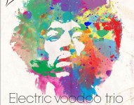 Electric Voodoo Trio in concerto